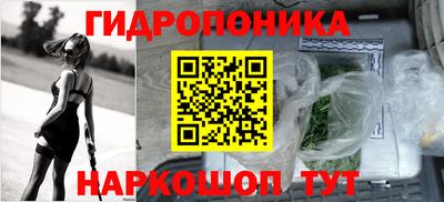 стаф Брянск