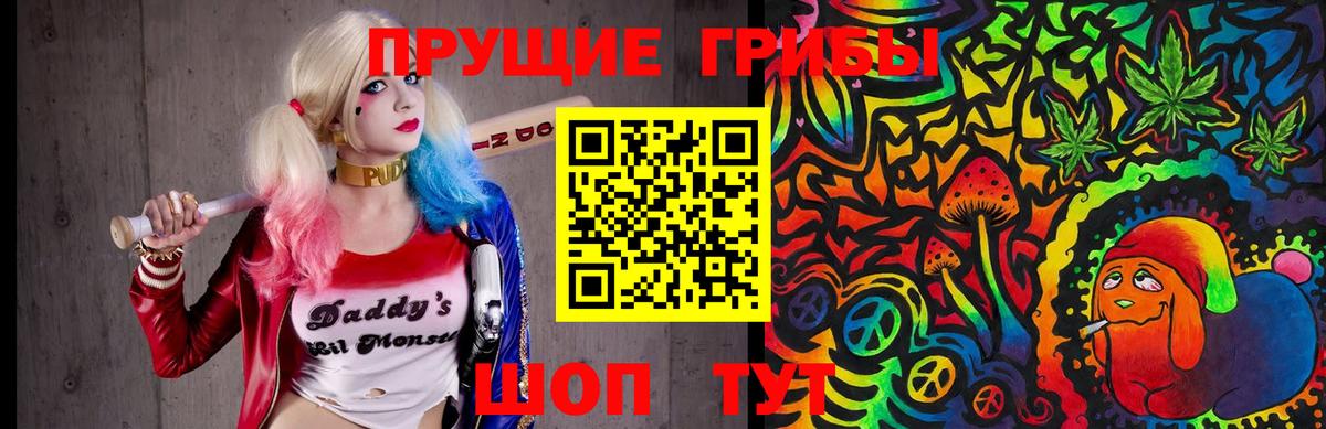 Галлюциногенные грибы Psilocybe  цены наркотик  Благодарный  Вход с VPN 